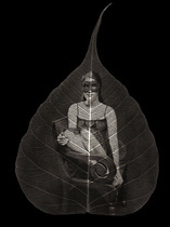 Observing Leaf - Ted Preuss