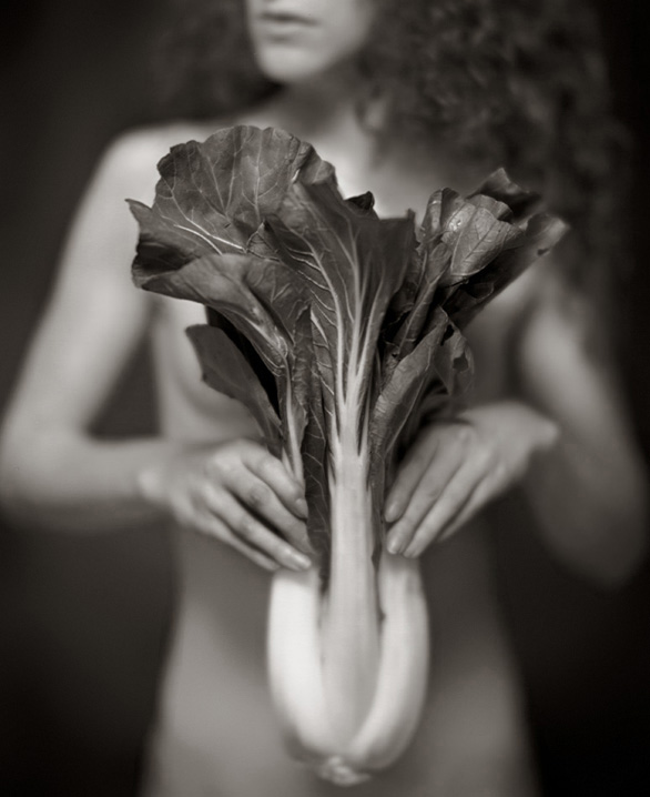 Bok Choy © Ted Preuss